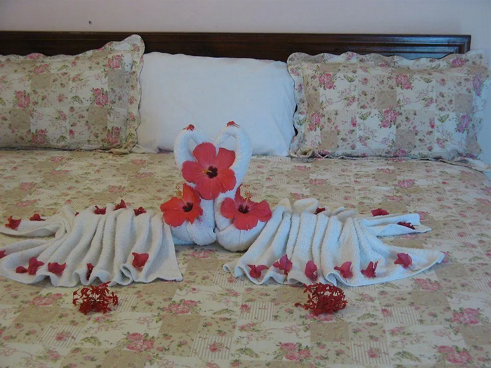 Executive Shaw Park Guest House Ocho Rios 2*,  Jamaica