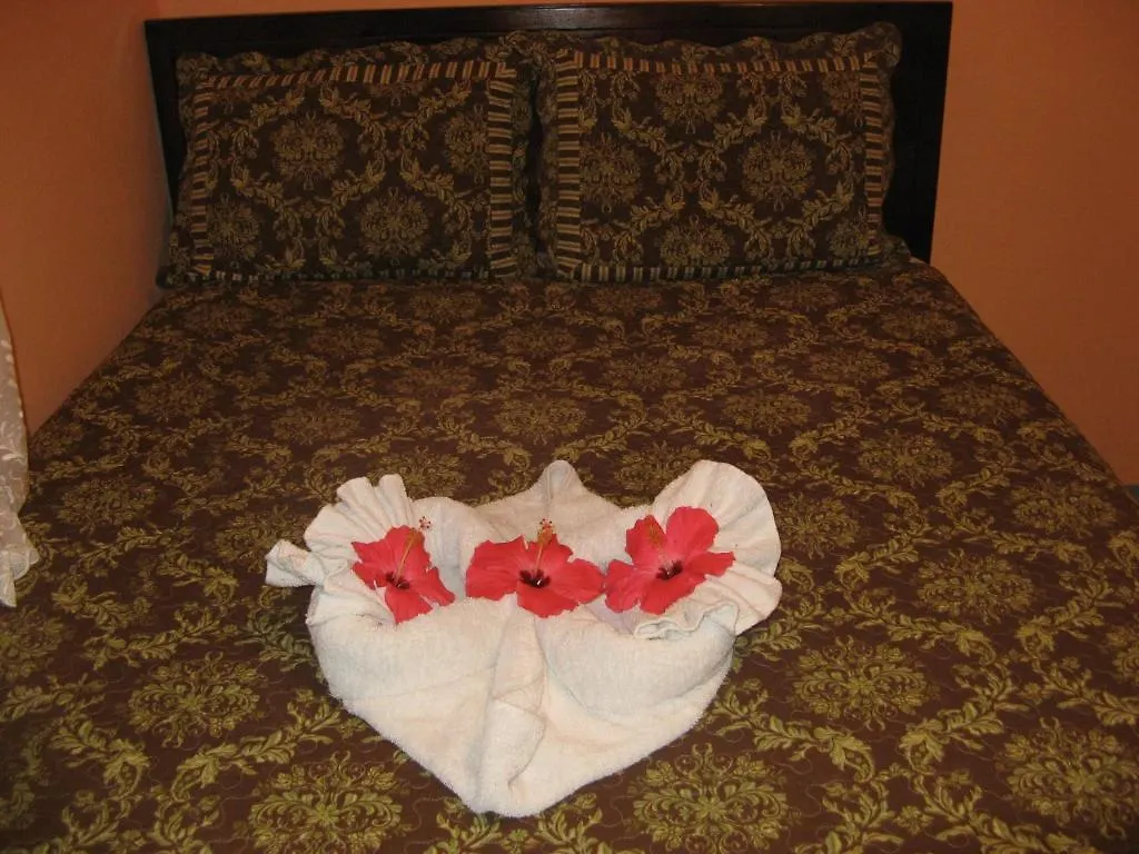 Executive Shaw Park Guest House Ocho Rios Jamaica