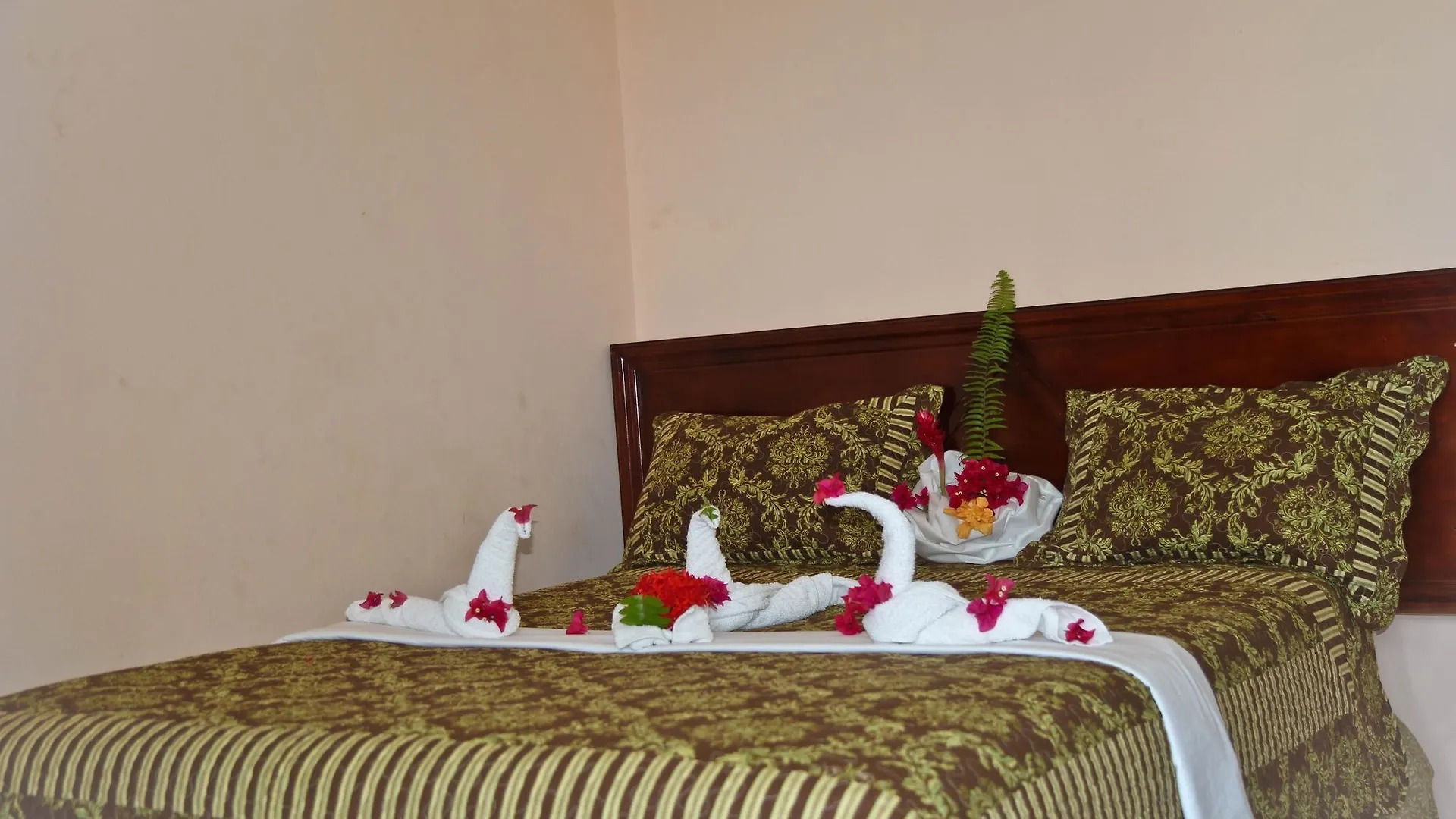 Executive Shaw Park Guest House Ocho Rios 2*,