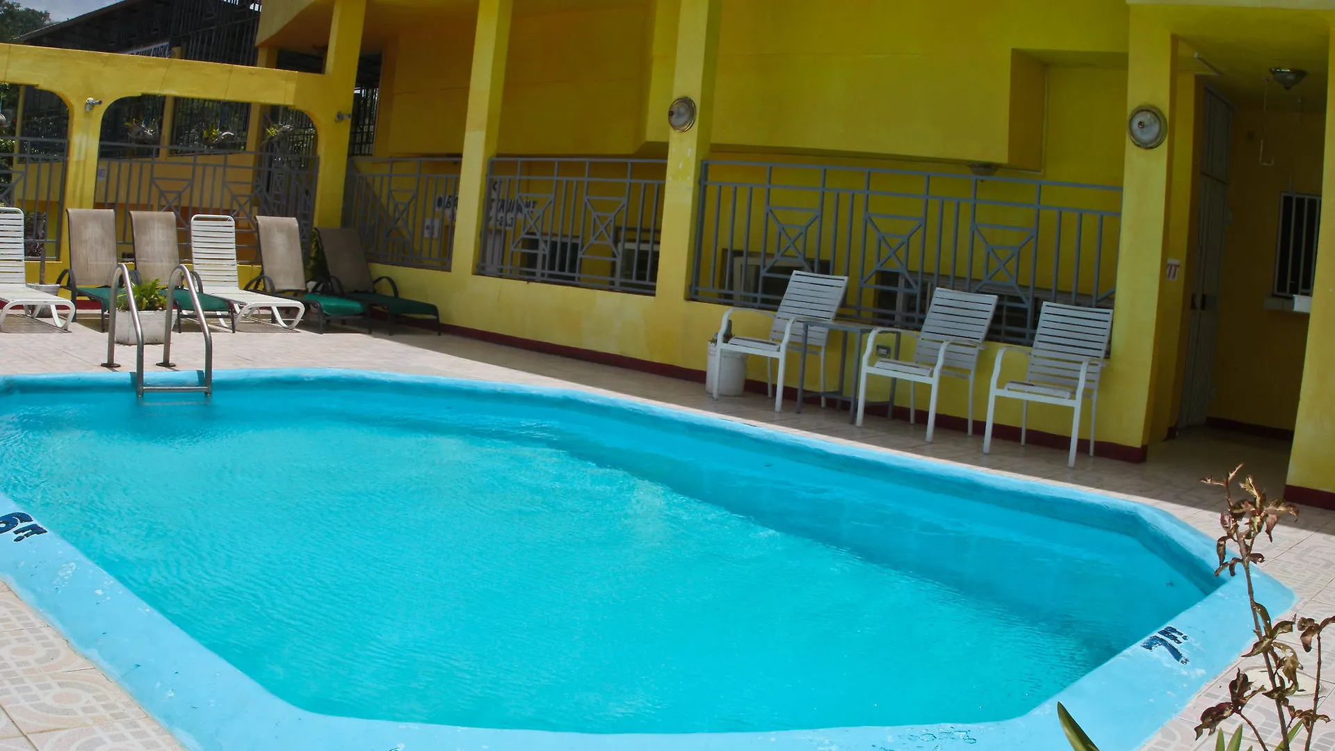 Executive Shaw Park Guest House Ocho Rios 2*,