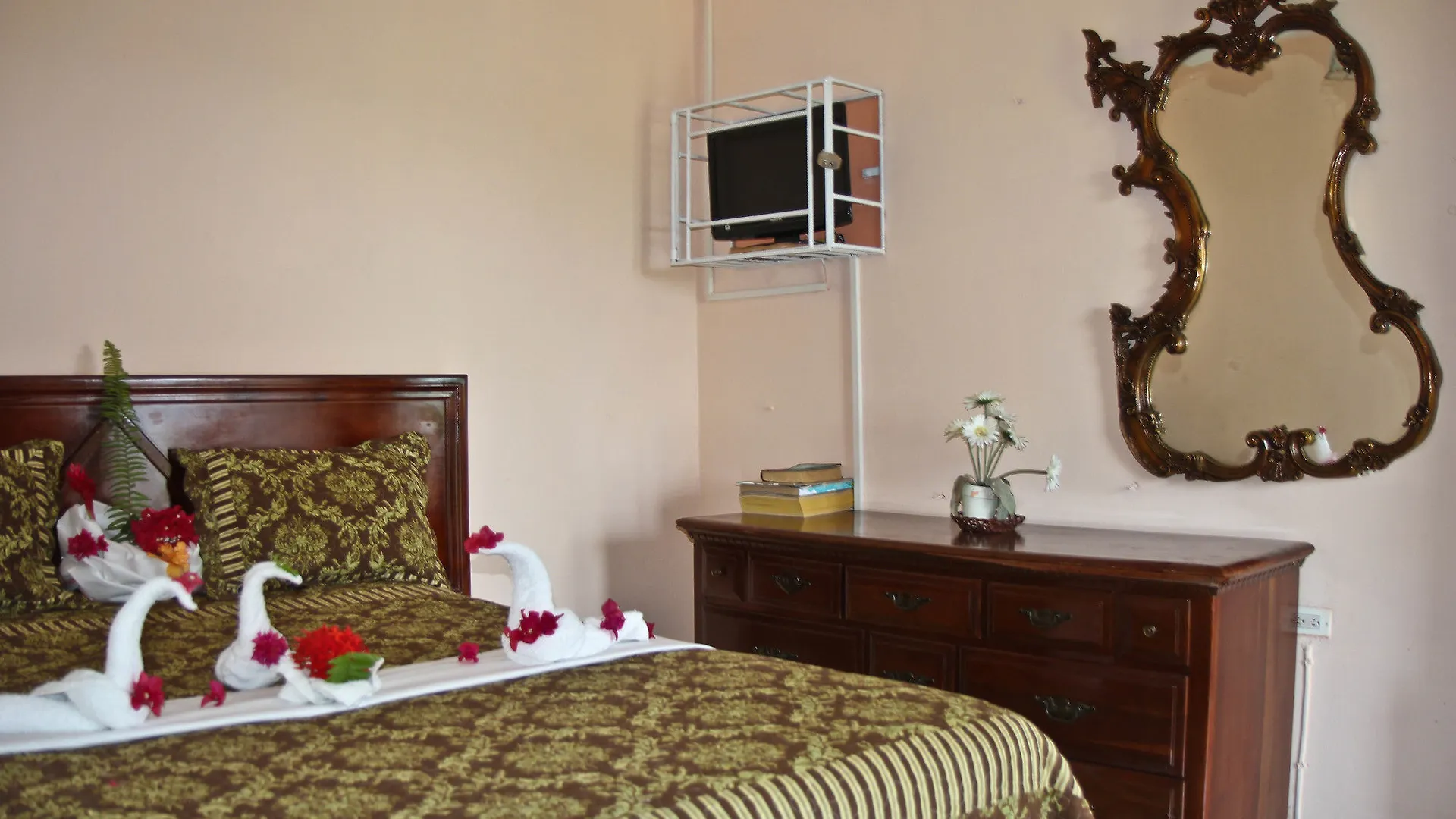 Executive Shaw Park Guest House Ocho Rios Hotel