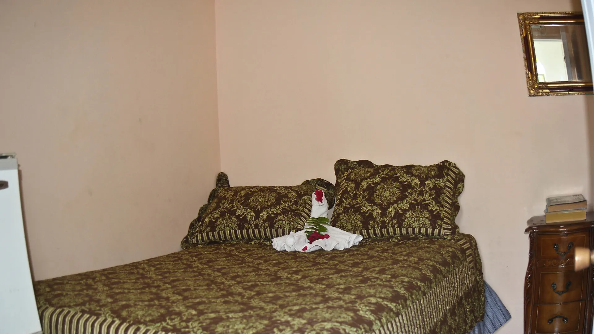 Executive Shaw Park Guest House أوشو ريوس فندق