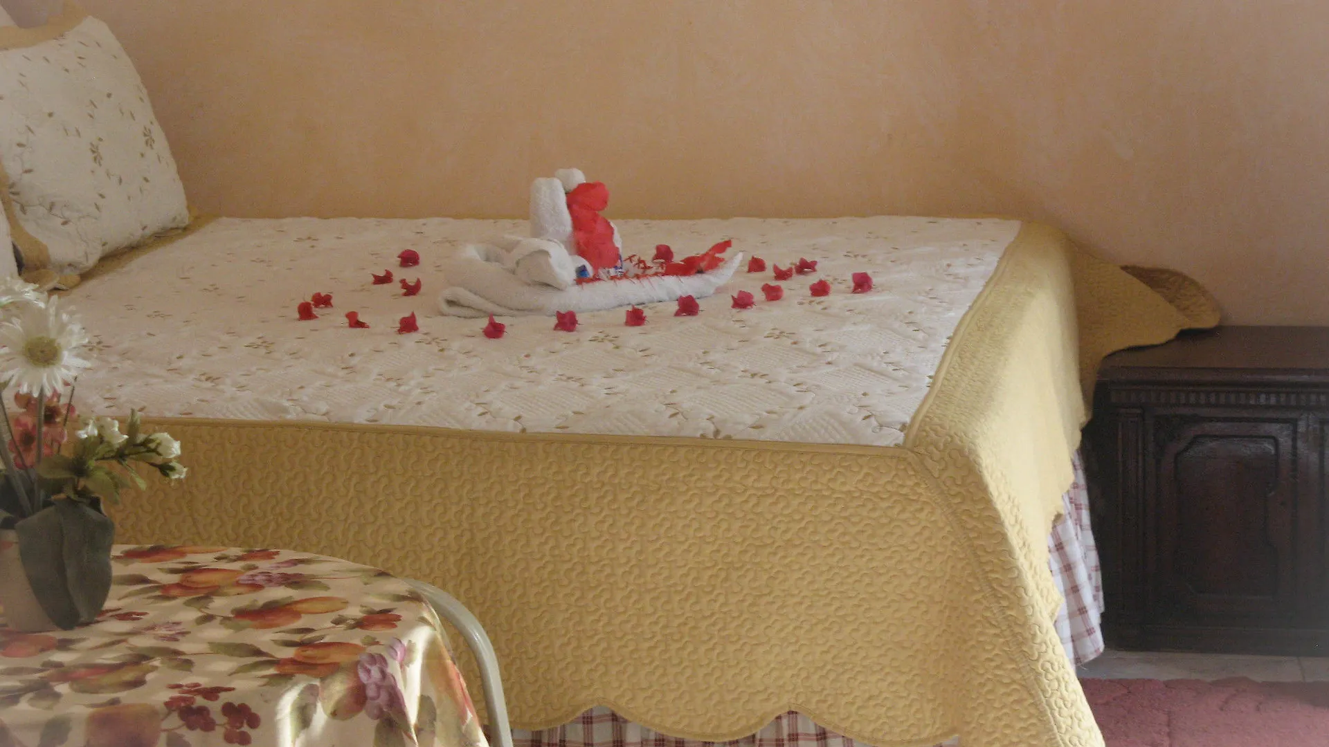 ** فندق Executive Shaw Park Guest House أوشو ريوس جامايكا